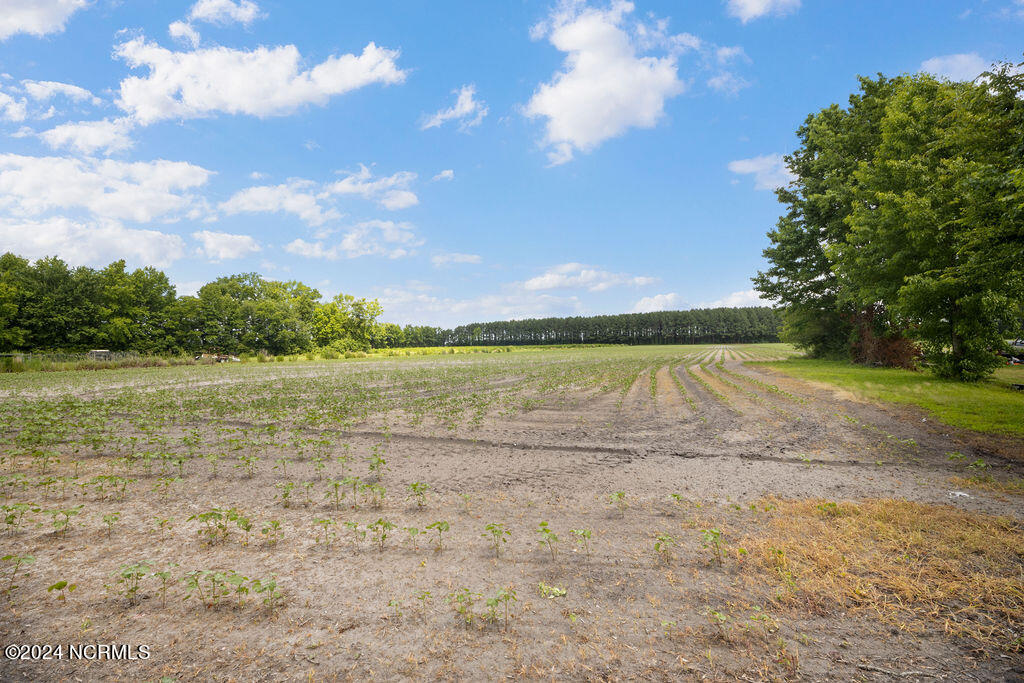 327 Bay Branch Road Property Photo 8