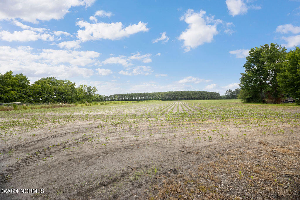327 Bay Branch Road Property Photo 9