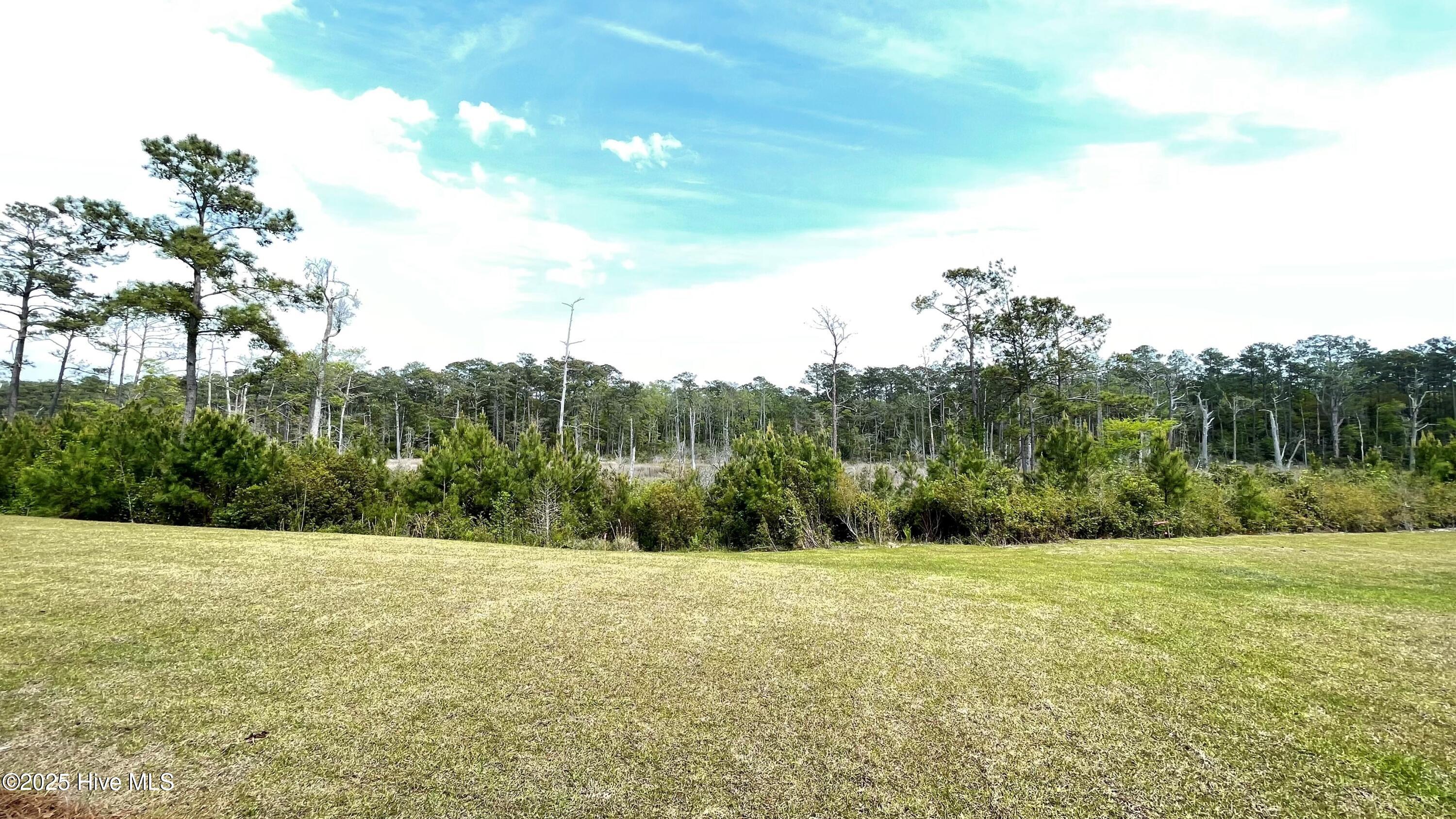 1231 Rippling Cove Loop Property Photo 2