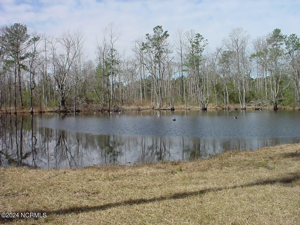Lot #1 Harts Lane Property Photo 2