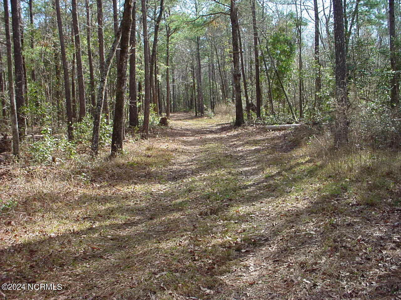 Lot #1 Harts Lane Property Photo 4