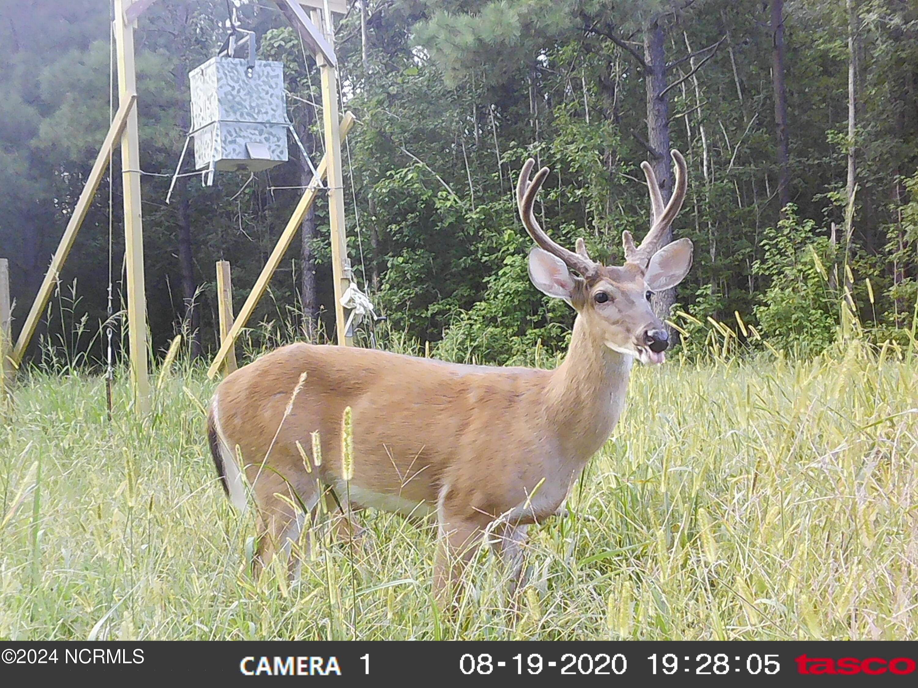 Lot #1 Harts Lane Property Photo 6