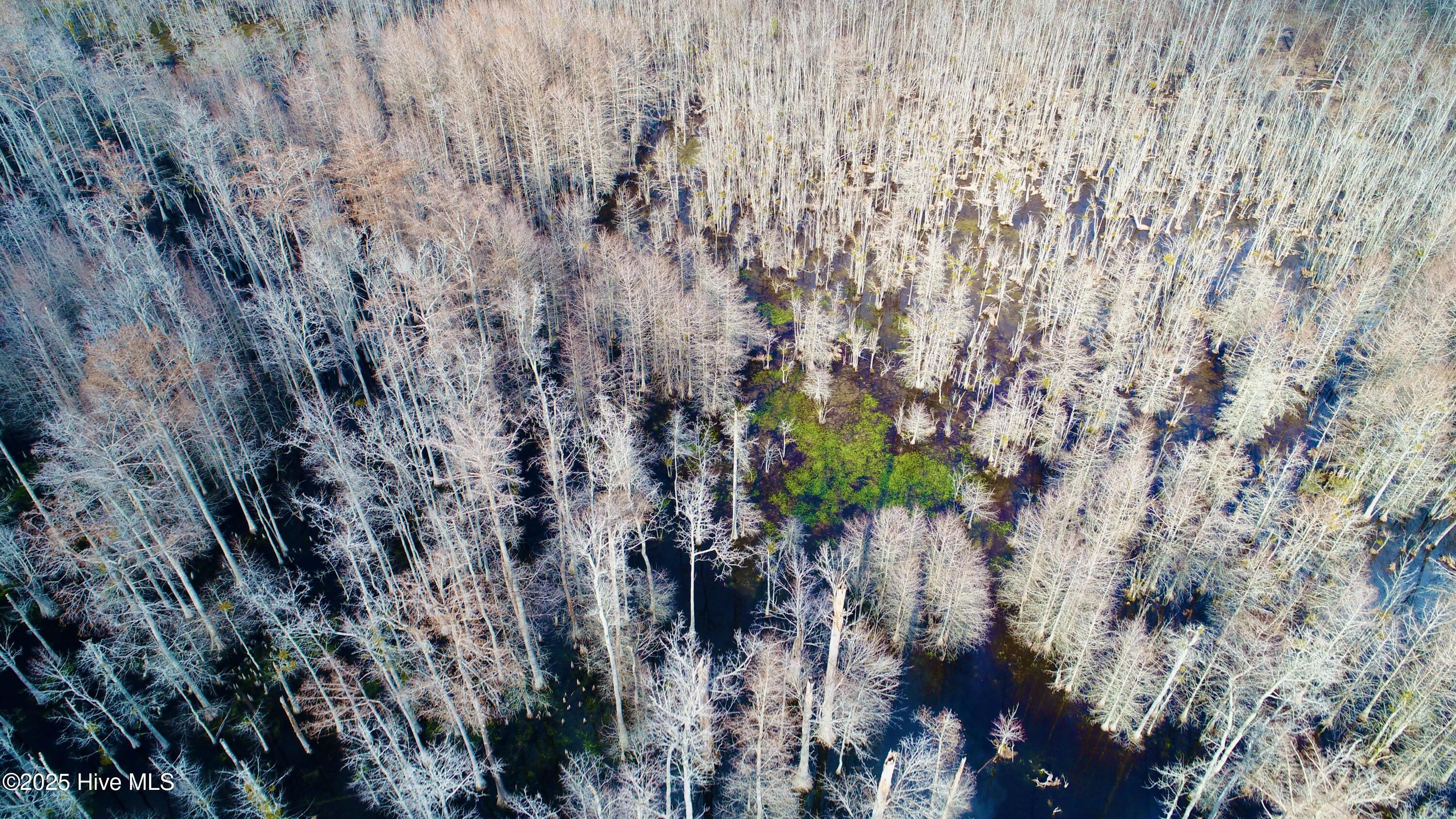 0 2205 Us 13 N Property Photo 14