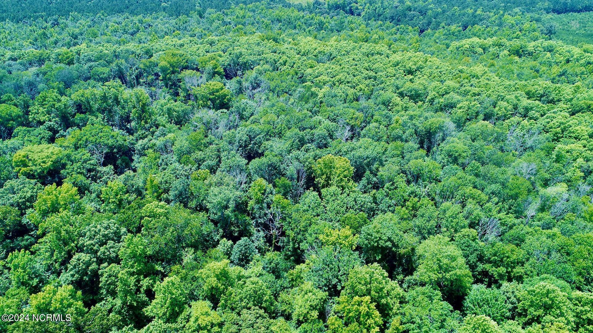 0 2205 Us 13 N Property Photo 21