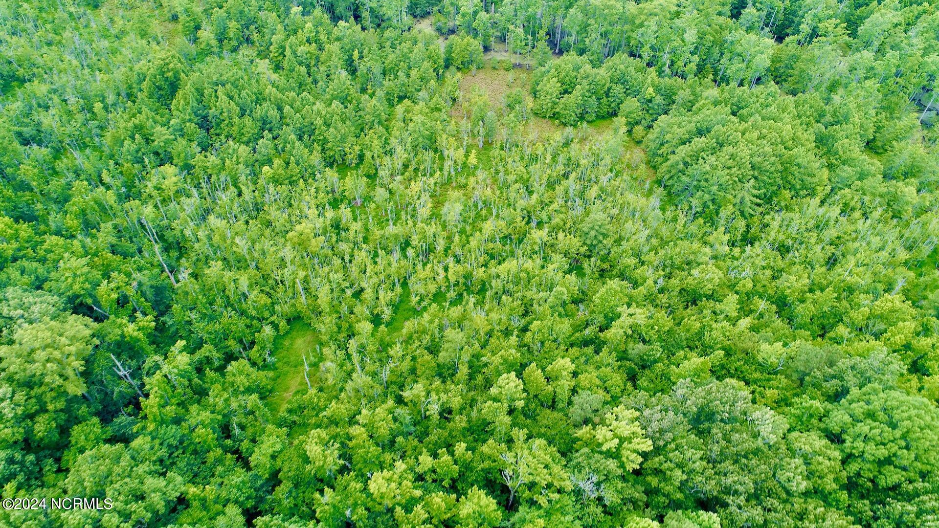 0 2205 Us 13 N Property Photo 30
