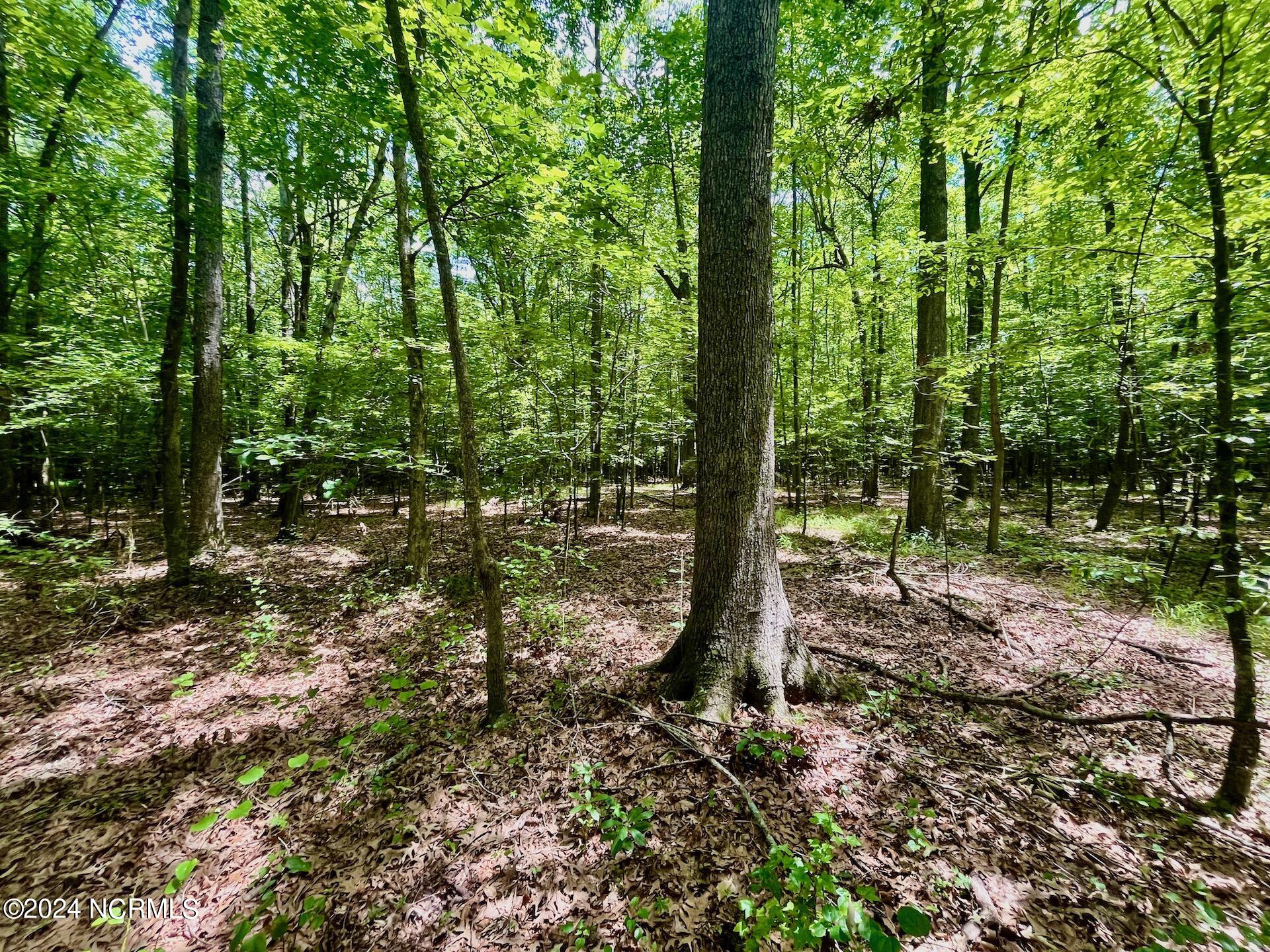 0 2205 Us 13 N Property Photo 43