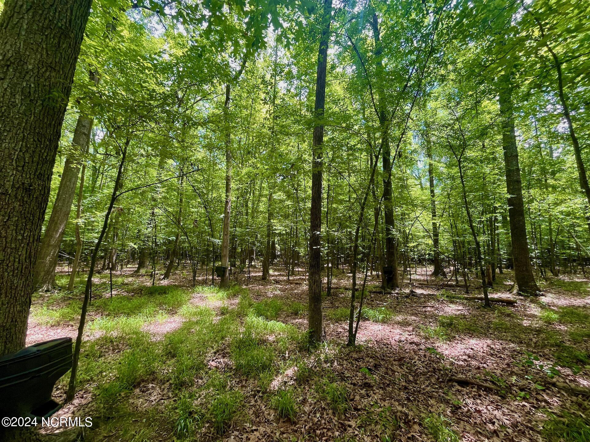0 2205 Us 13 N Property Photo 44