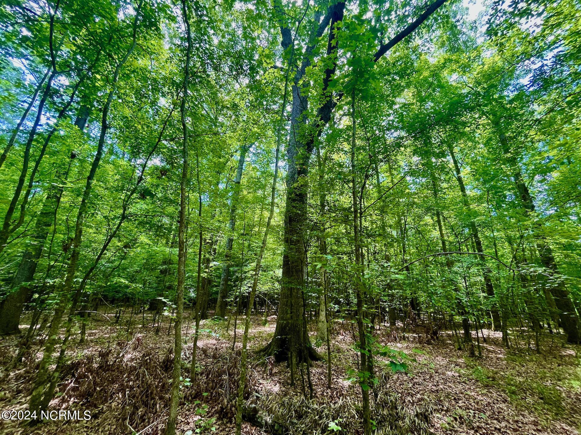 0 2205 Us 13 N Property Photo 46