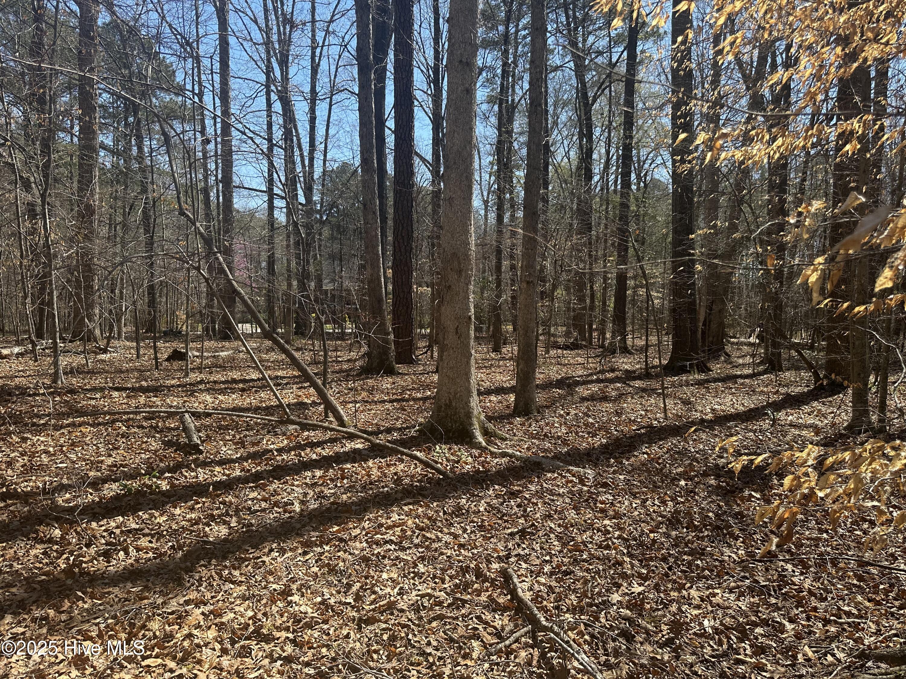 1542 Green Meadow Lane Property Photo 1