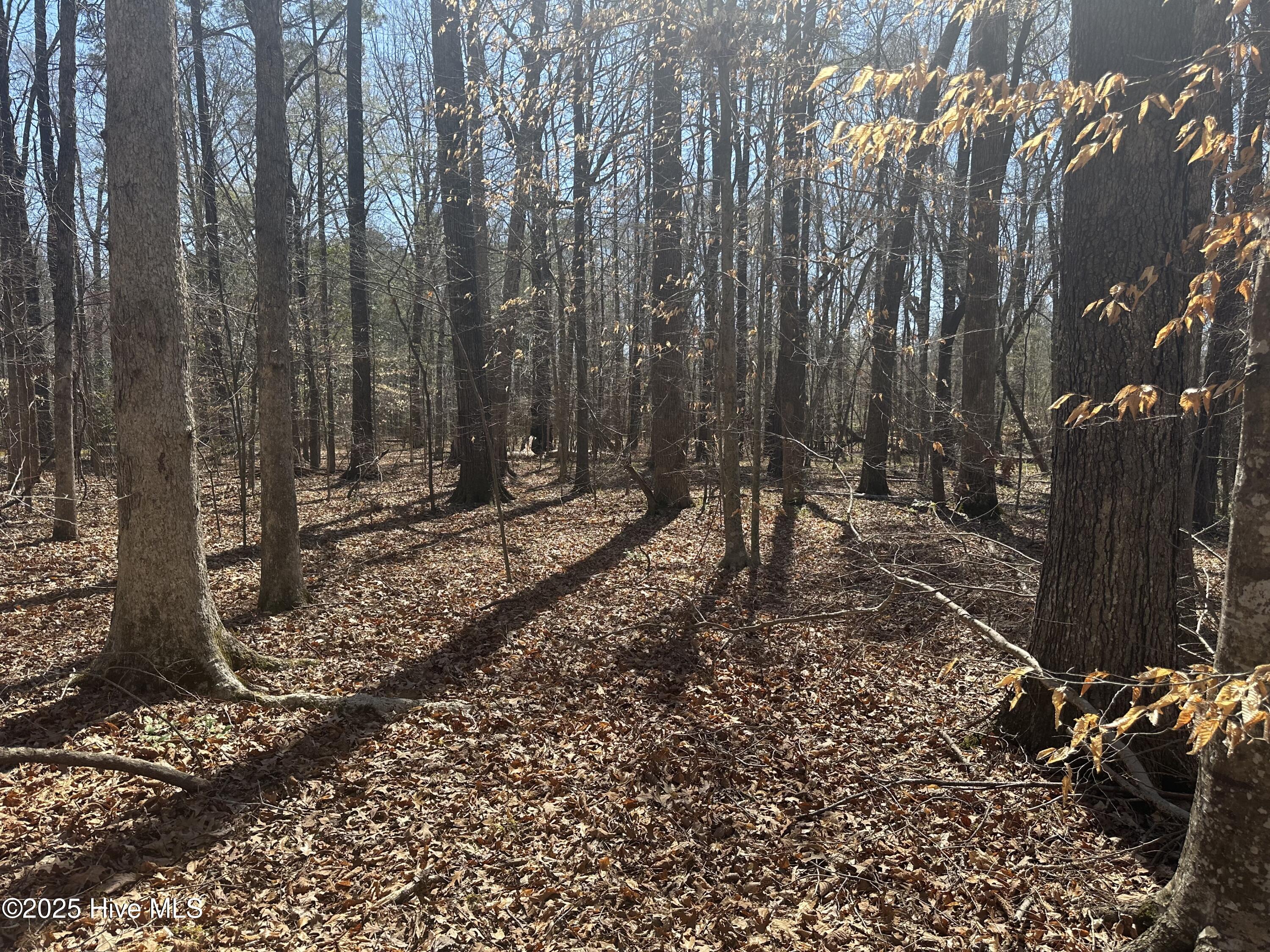 1542 Green Meadow Lane Property Photo 4