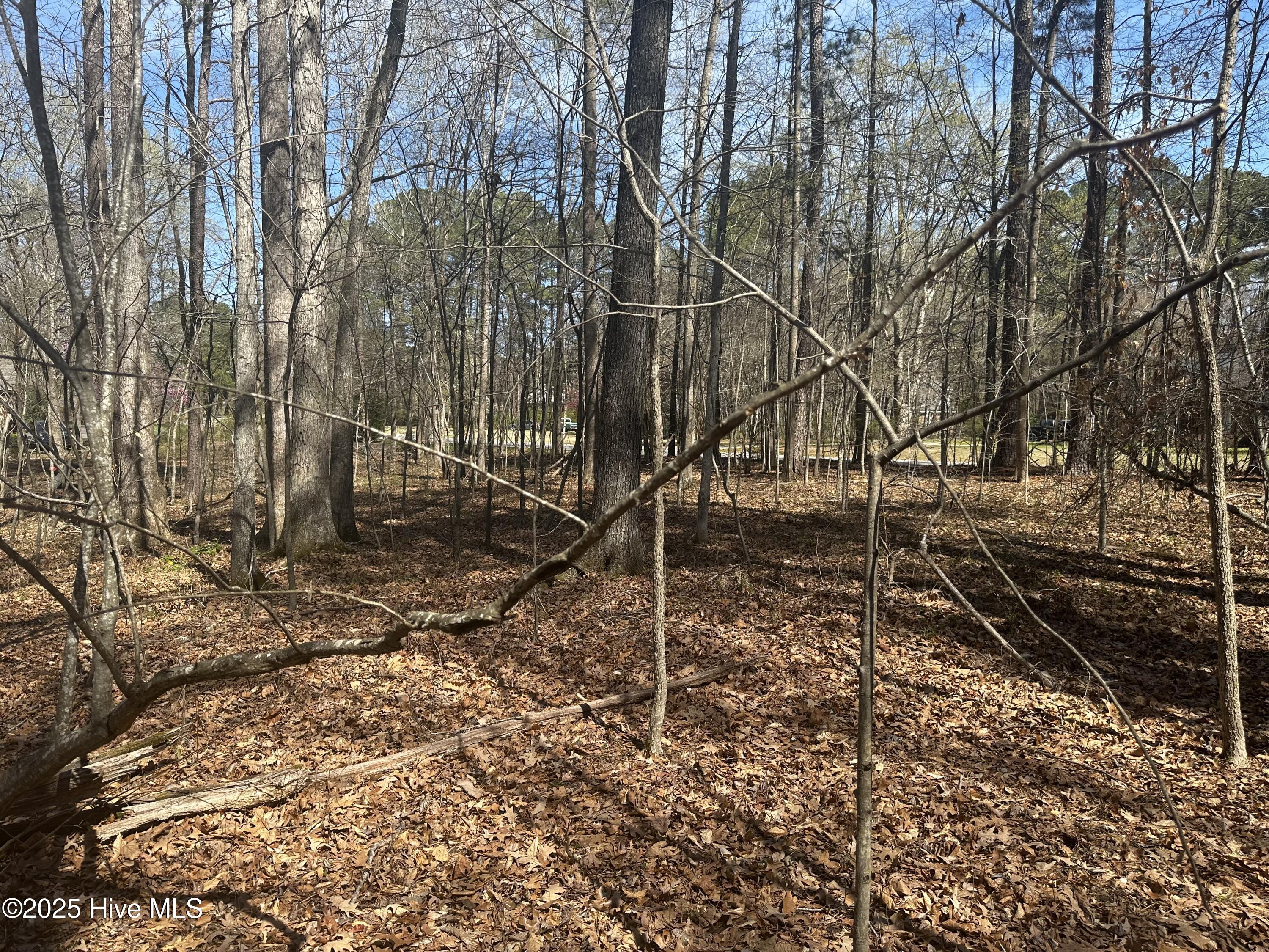 1542 Green Meadow Lane Property Photo 8