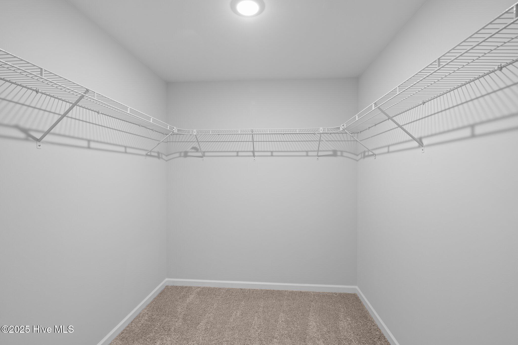 1002 Tawney Trace Property Photo 31