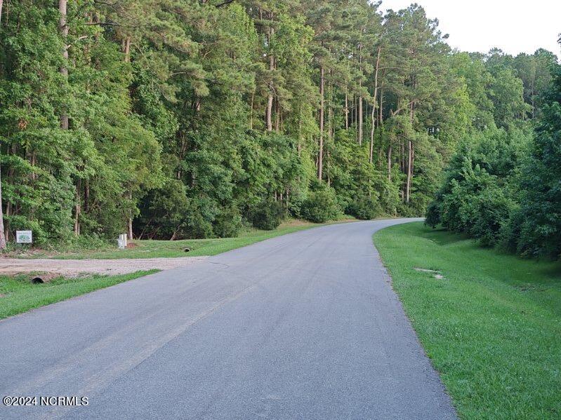 33 Mixon Creek Drive Property Photo 3