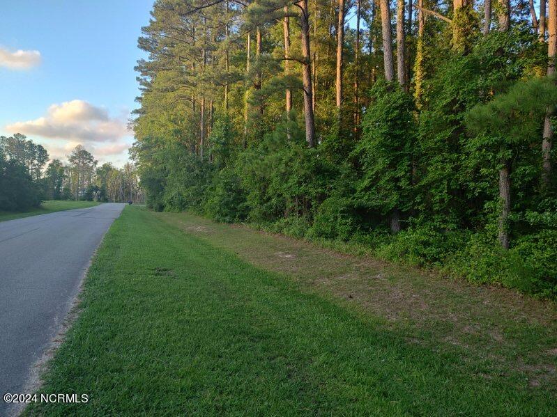 33 Mixon Creek Drive Property Photo 4