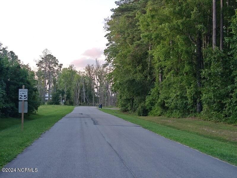 33 Mixon Creek Drive Property Photo 5
