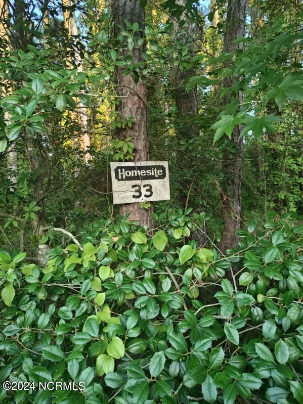 33 Mixon Creek Drive Property Photo 6