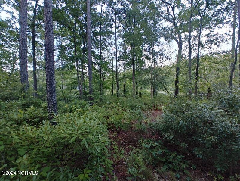 33 Mixon Creek Drive Property Photo 10