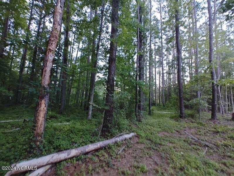 33 Mixon Creek Drive Property Photo 12