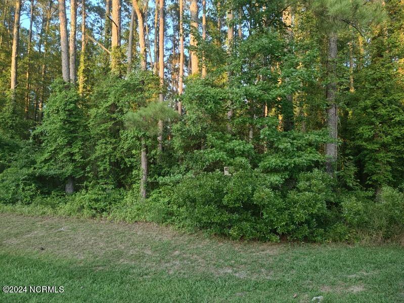 33 Mixon Creek Drive Property Photo 13