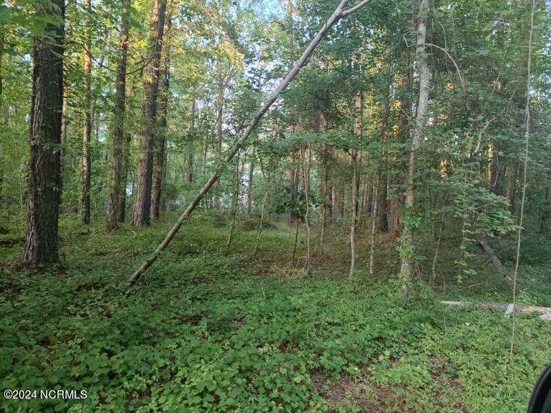 33 Mixon Creek Drive Property Photo 14