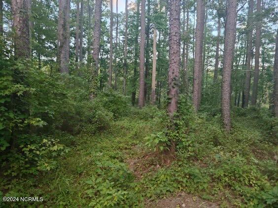 33 Mixon Creek Drive Property Photo 15