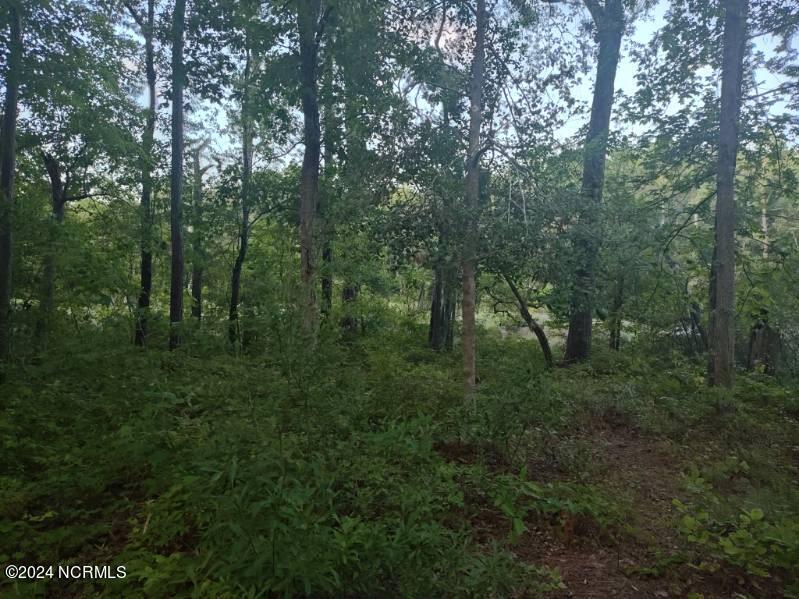 33 Mixon Creek Drive Property Photo 16