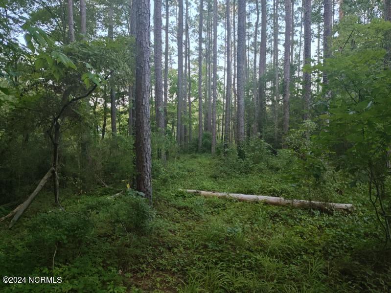 33 Mixon Creek Drive Property Photo 17