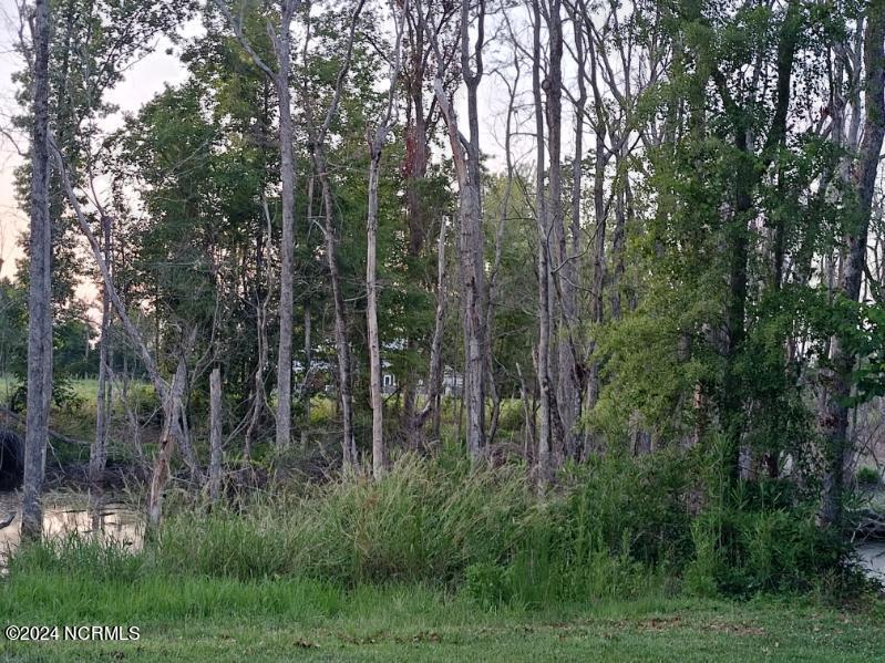 33 Mixon Creek Drive Property Photo 20