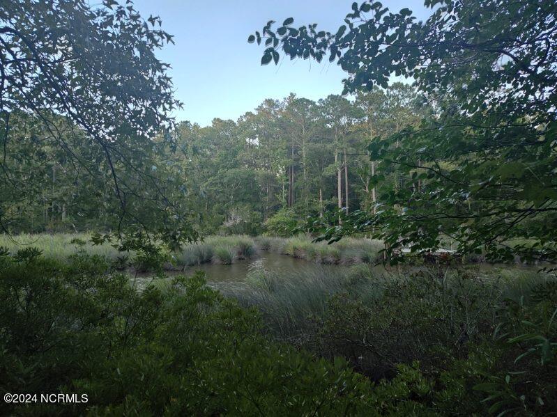 33 Mixon Creek Drive Property Photo 22
