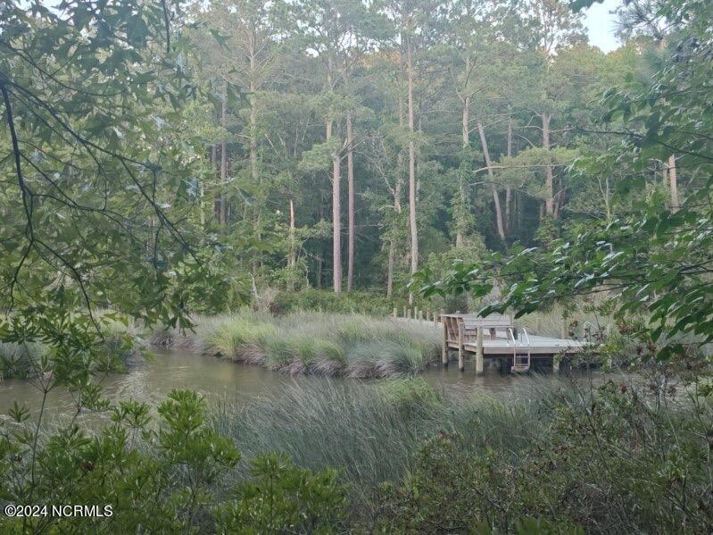 33 Mixon Creek Drive Property Photo 23
