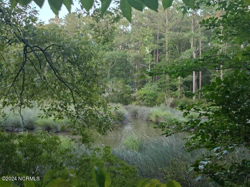 33 Mixon Creek Drive Property Photo 24