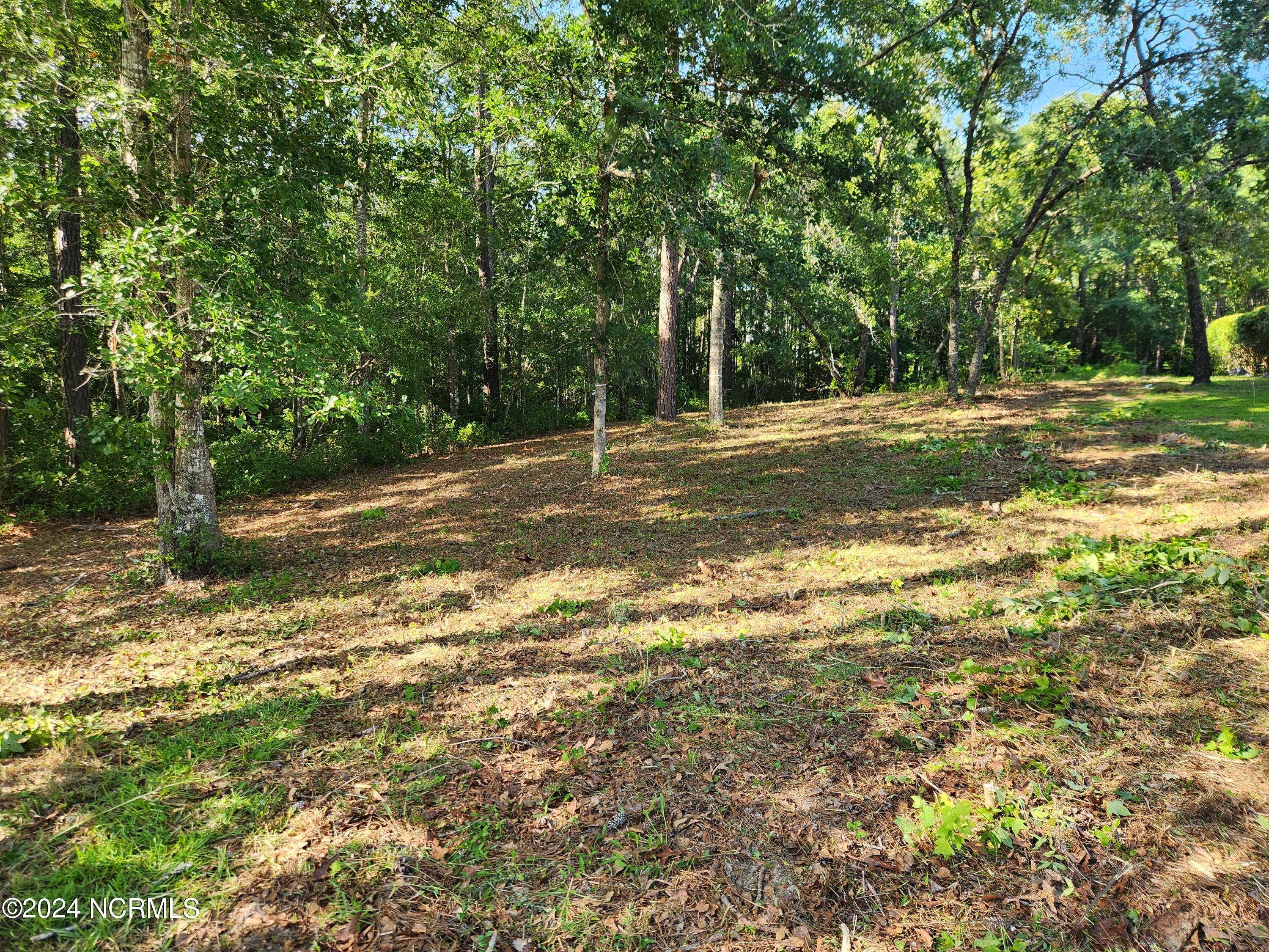 806 Cedarhurst Drive Property Photo 2