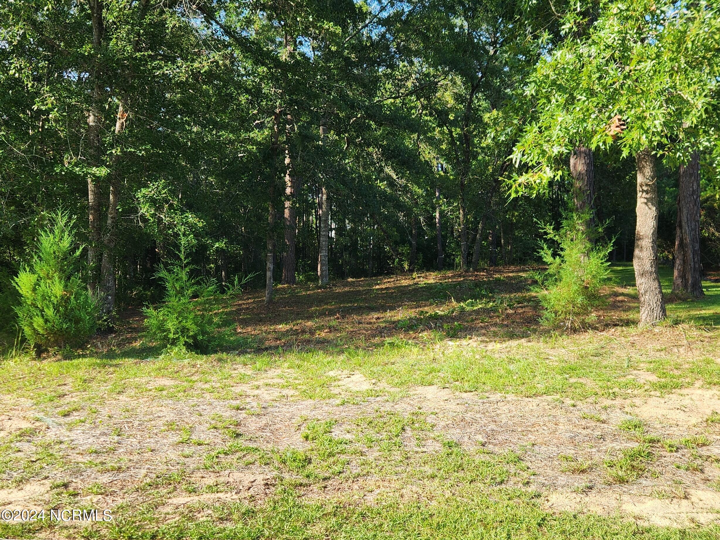 806 Cedarhurst Drive Property Photo 3