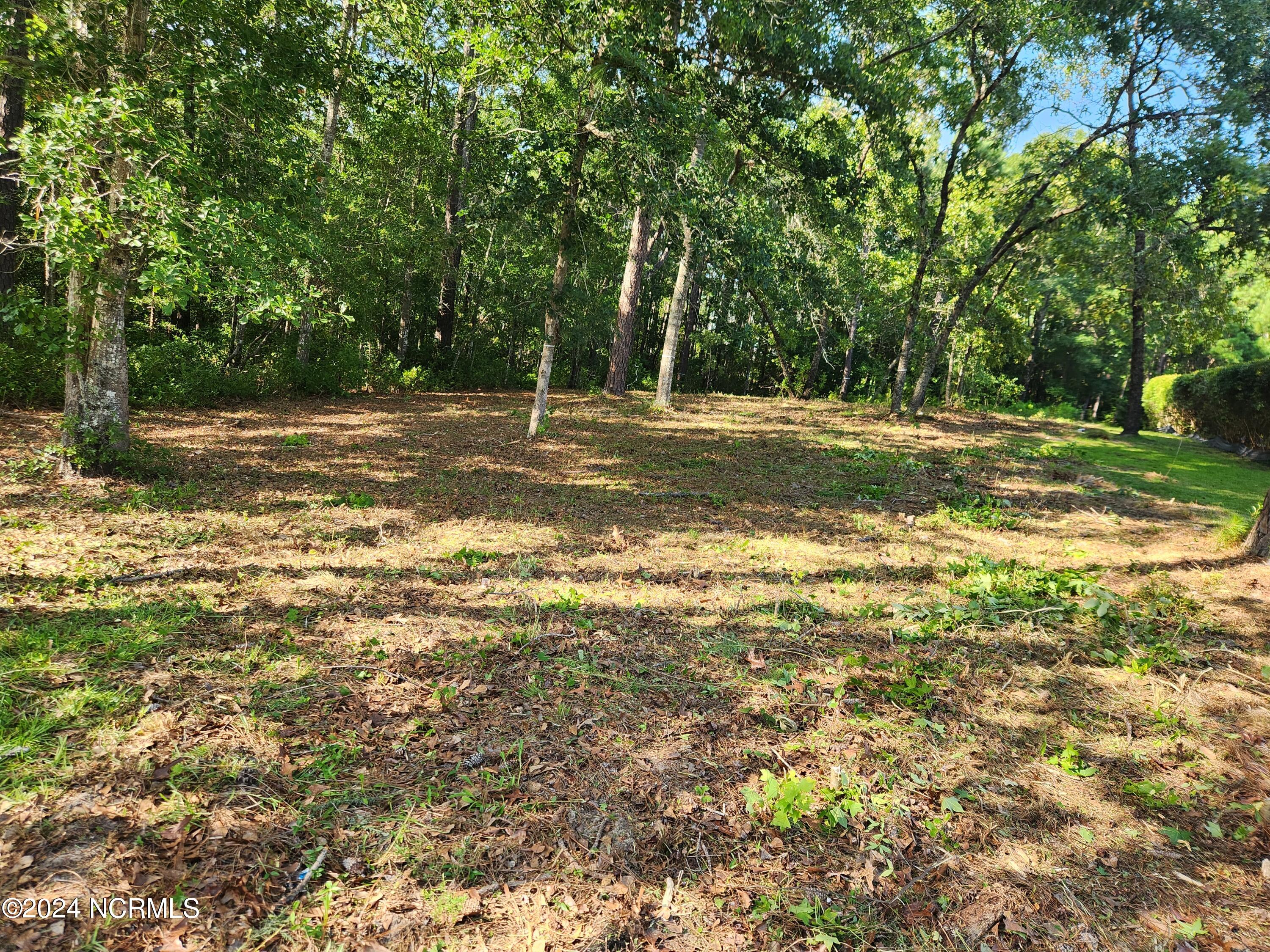 806 Cedarhurst Drive Property Photo 19