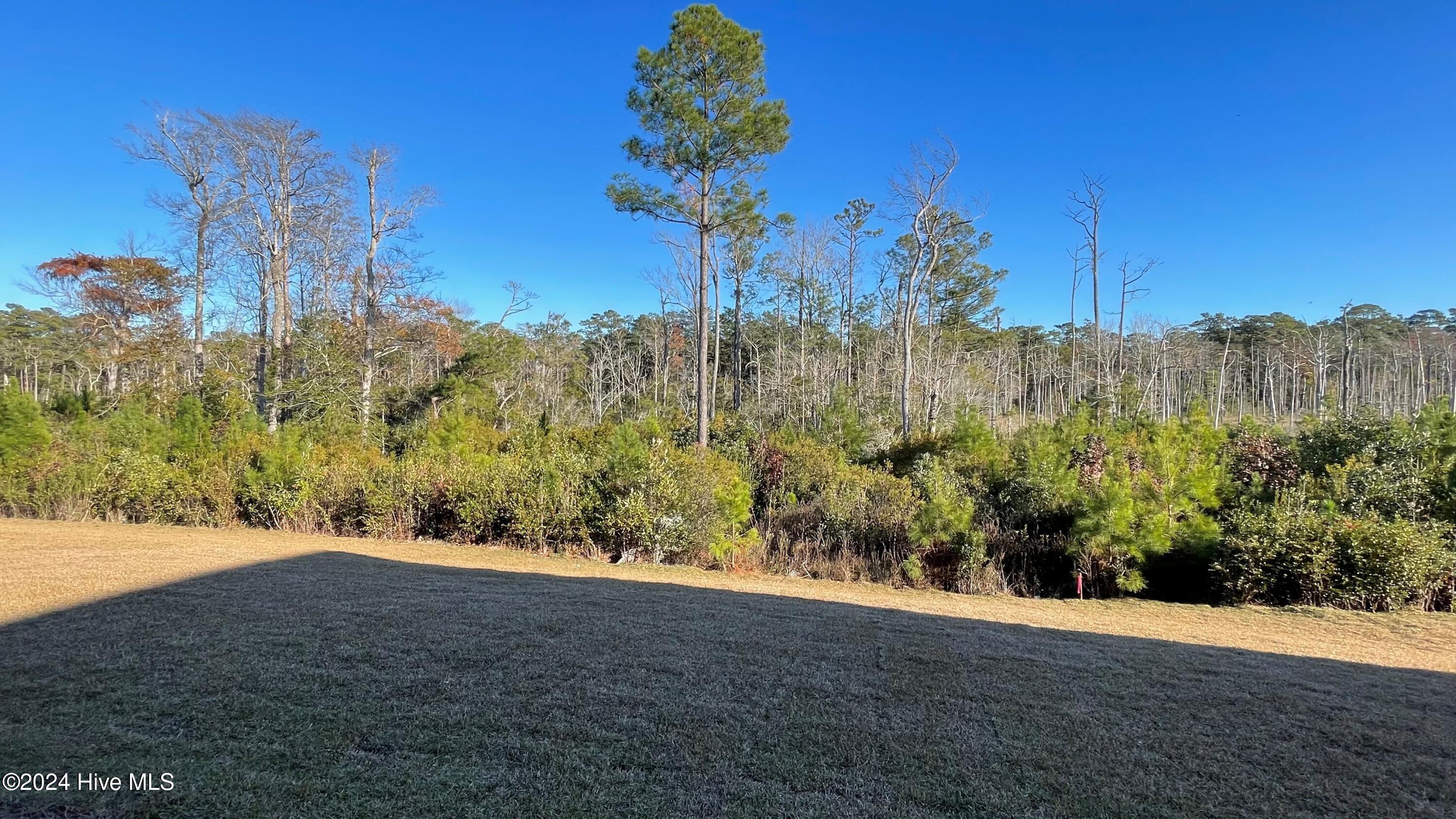 1215 Rippling Cove Loop Property Photo 2