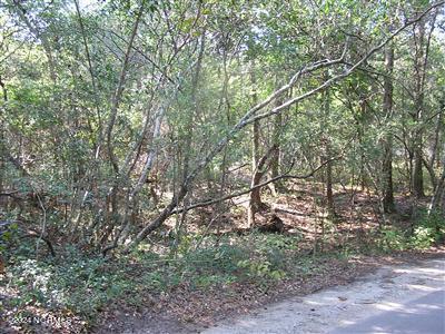 234 N Bald Head Wynd Property Photo 1