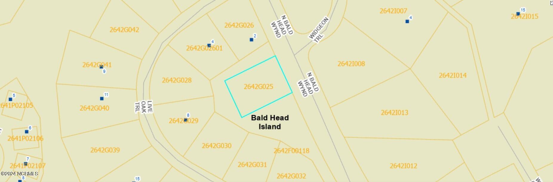 234 N Bald Head Wynd Property Photo 2
