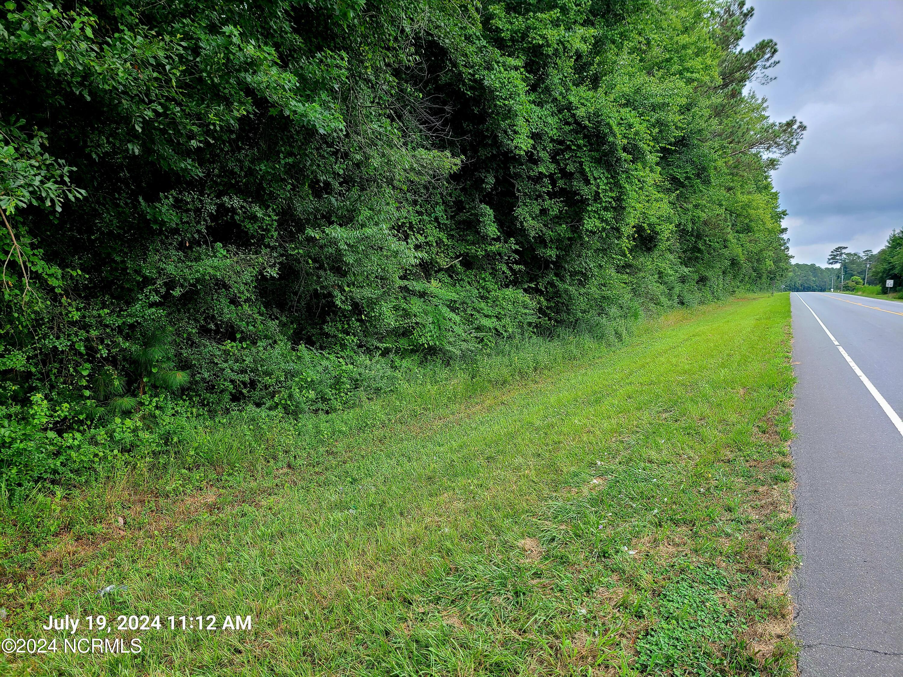 0 Taylors Bridge Highway Property Photo 2