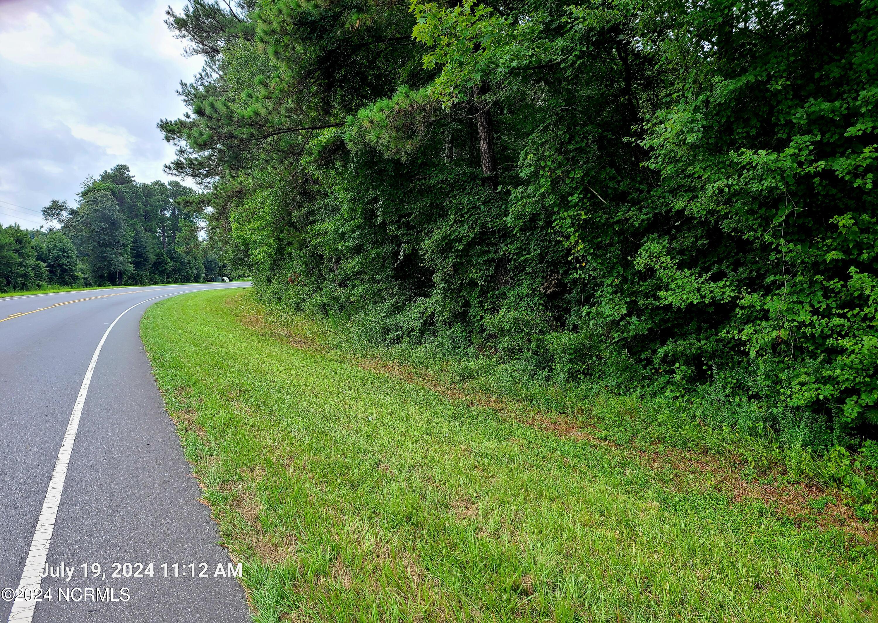 0 Taylors Bridge Highway Property Photo 3