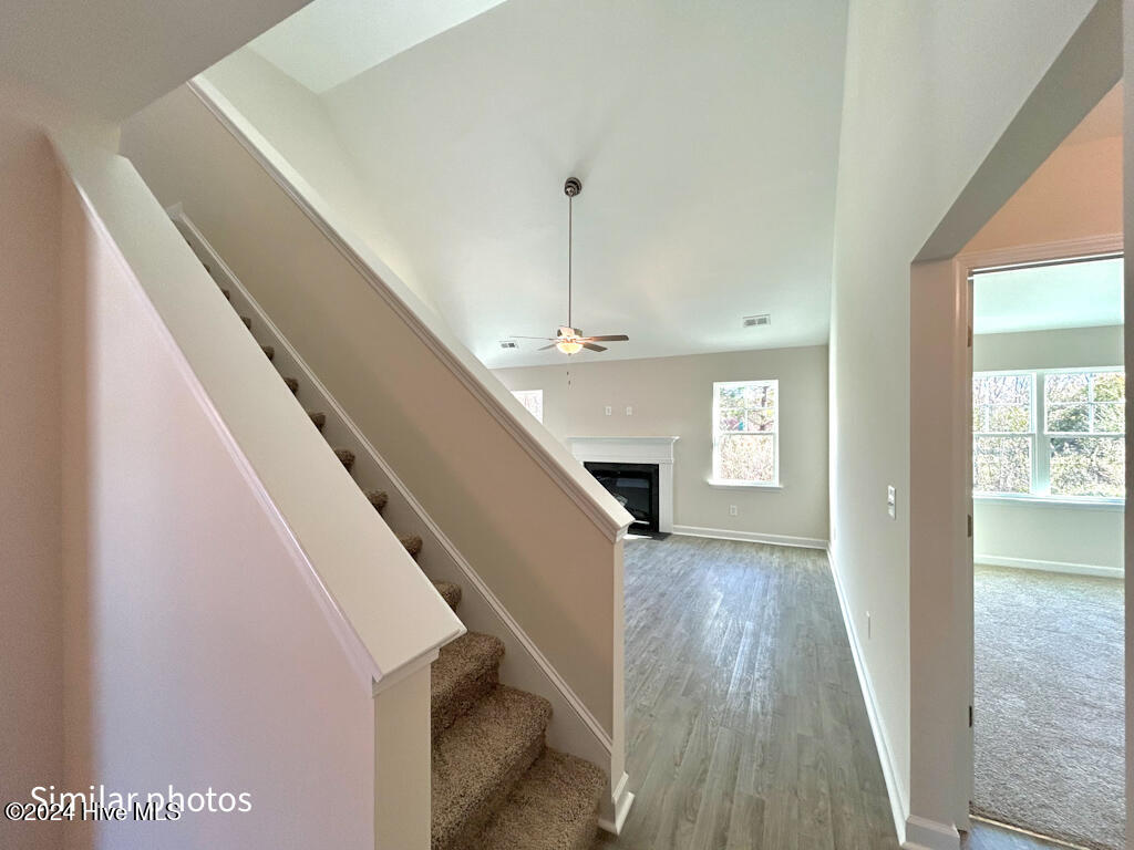 500 Isaac Branch Drive Property Photo 13