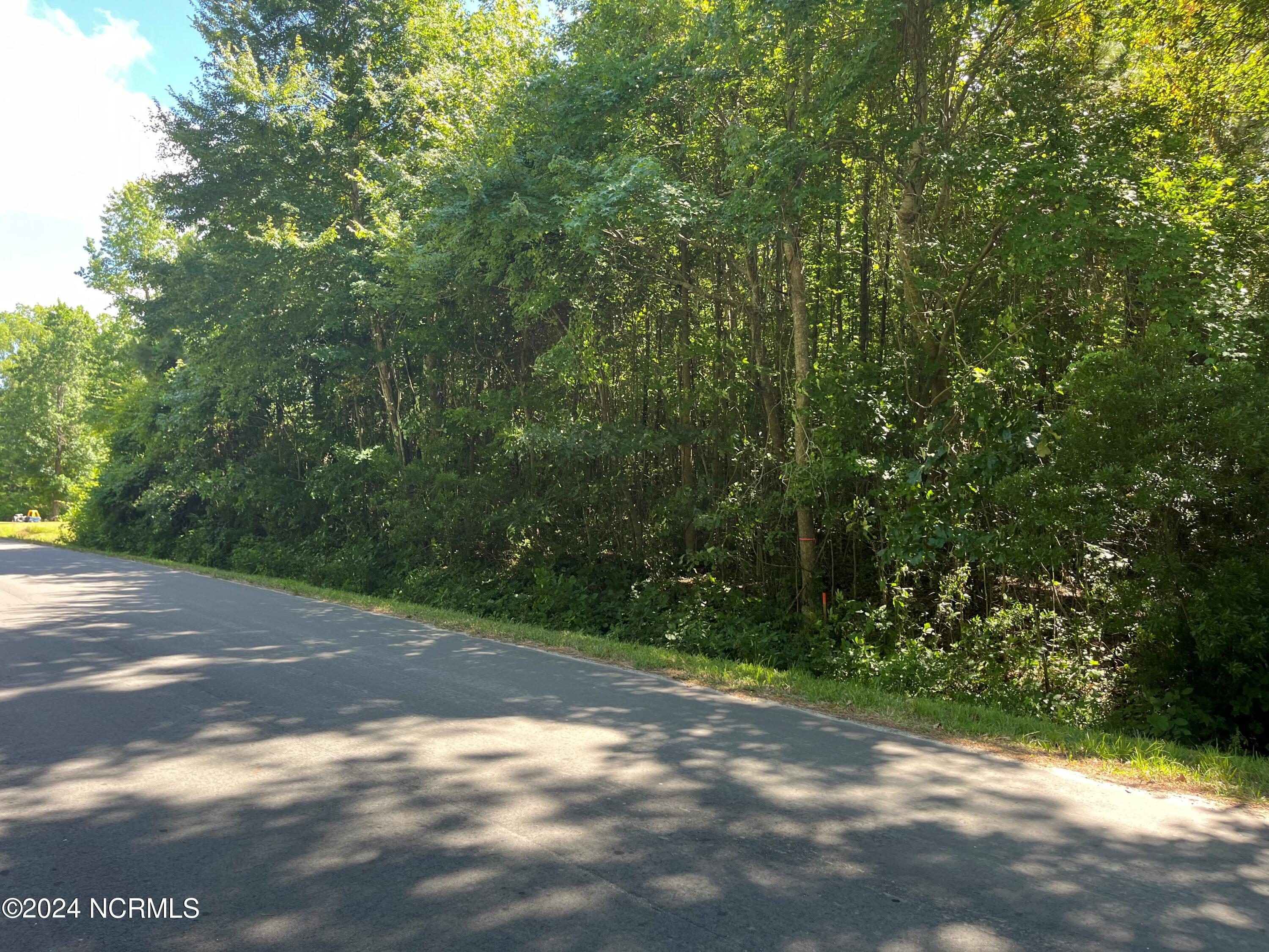 77 Beards Creek Drive Property Photo 7