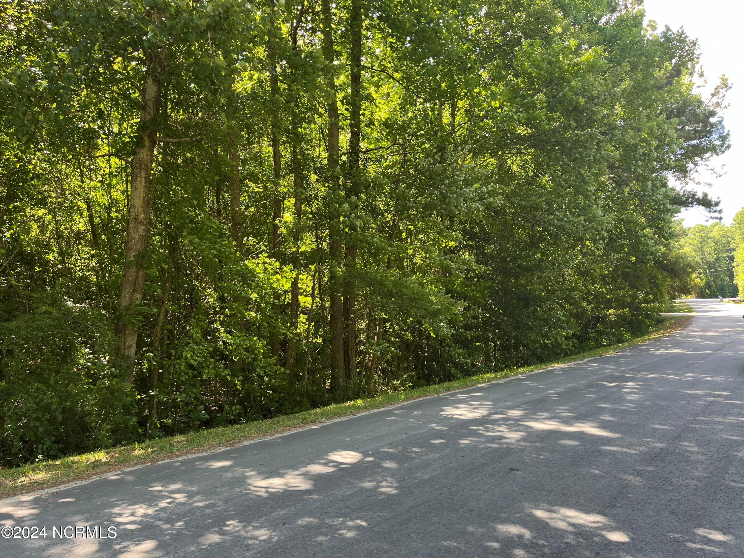 77 Beards Creek Drive Property Photo 8