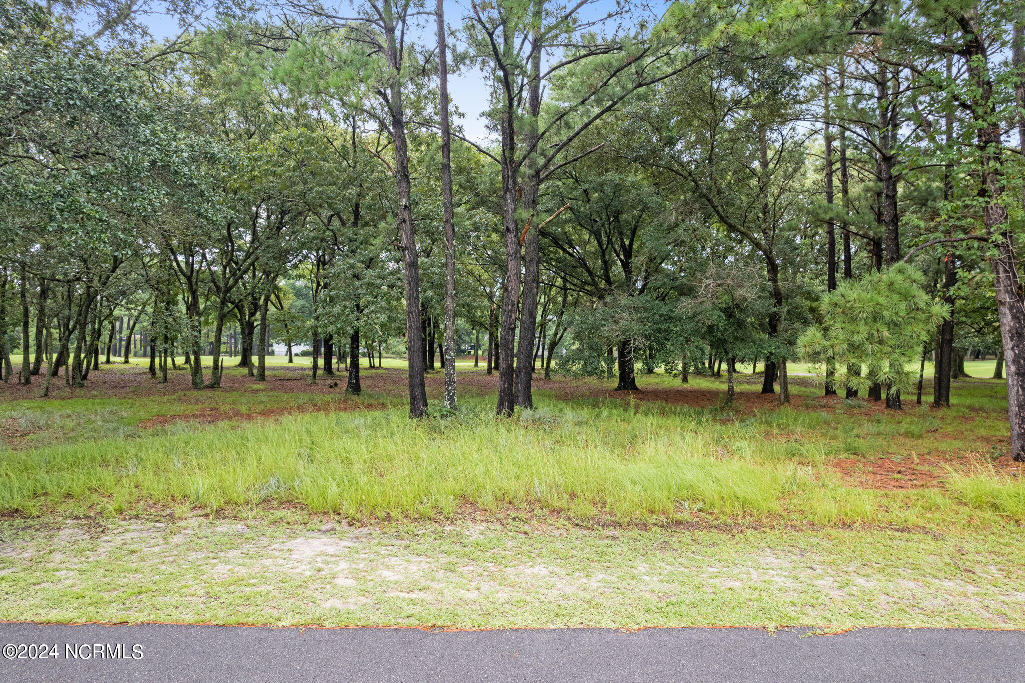 3080 Purple Finch Lane Property Photo 1