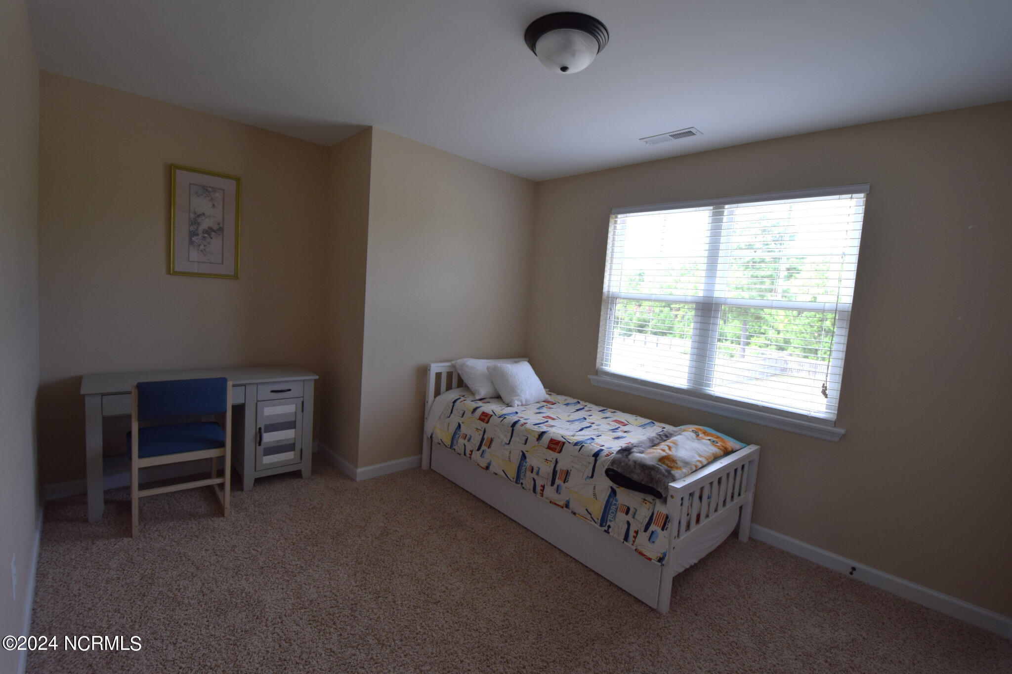 156 Peytons Ridge Drive Property Photo 14
