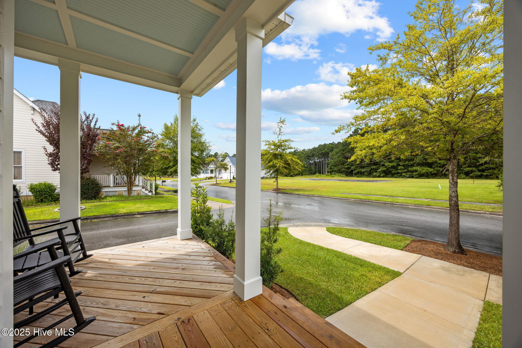 3907 Reunion Pointe Lane Property Photo 3