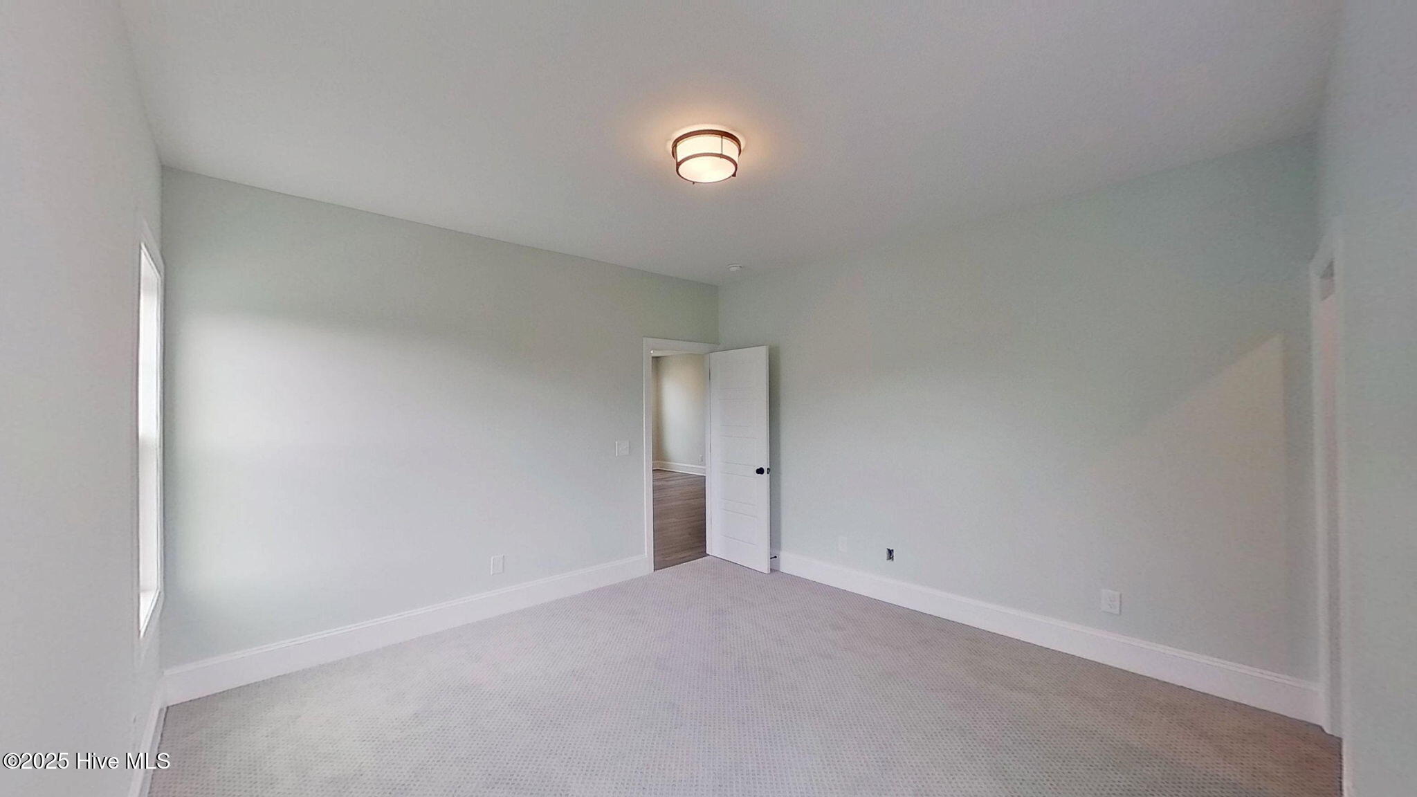 3907 Reunion Pointe Lane Property Photo 33