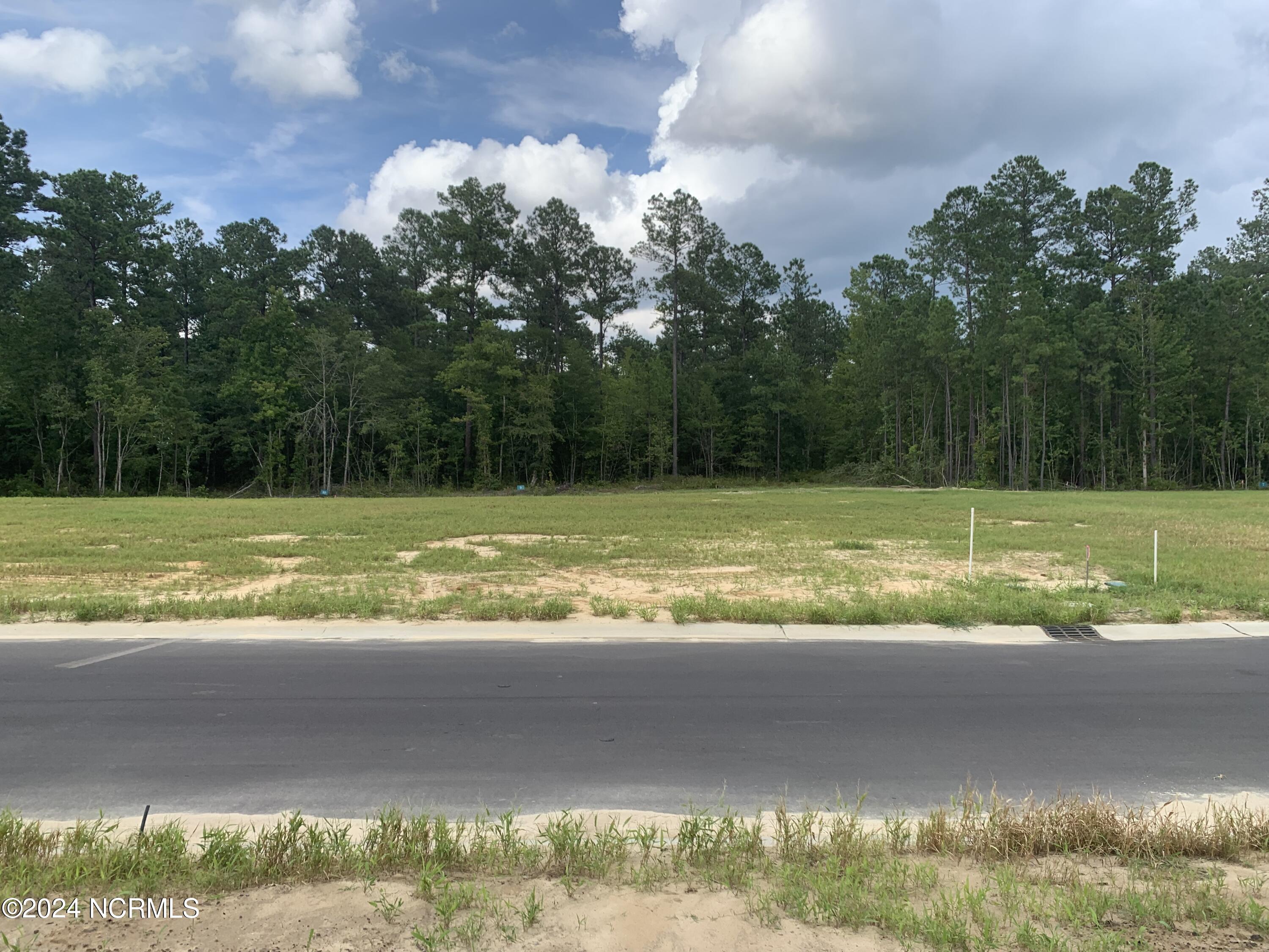 3009 W Timber Crest Drive Property Photo 2