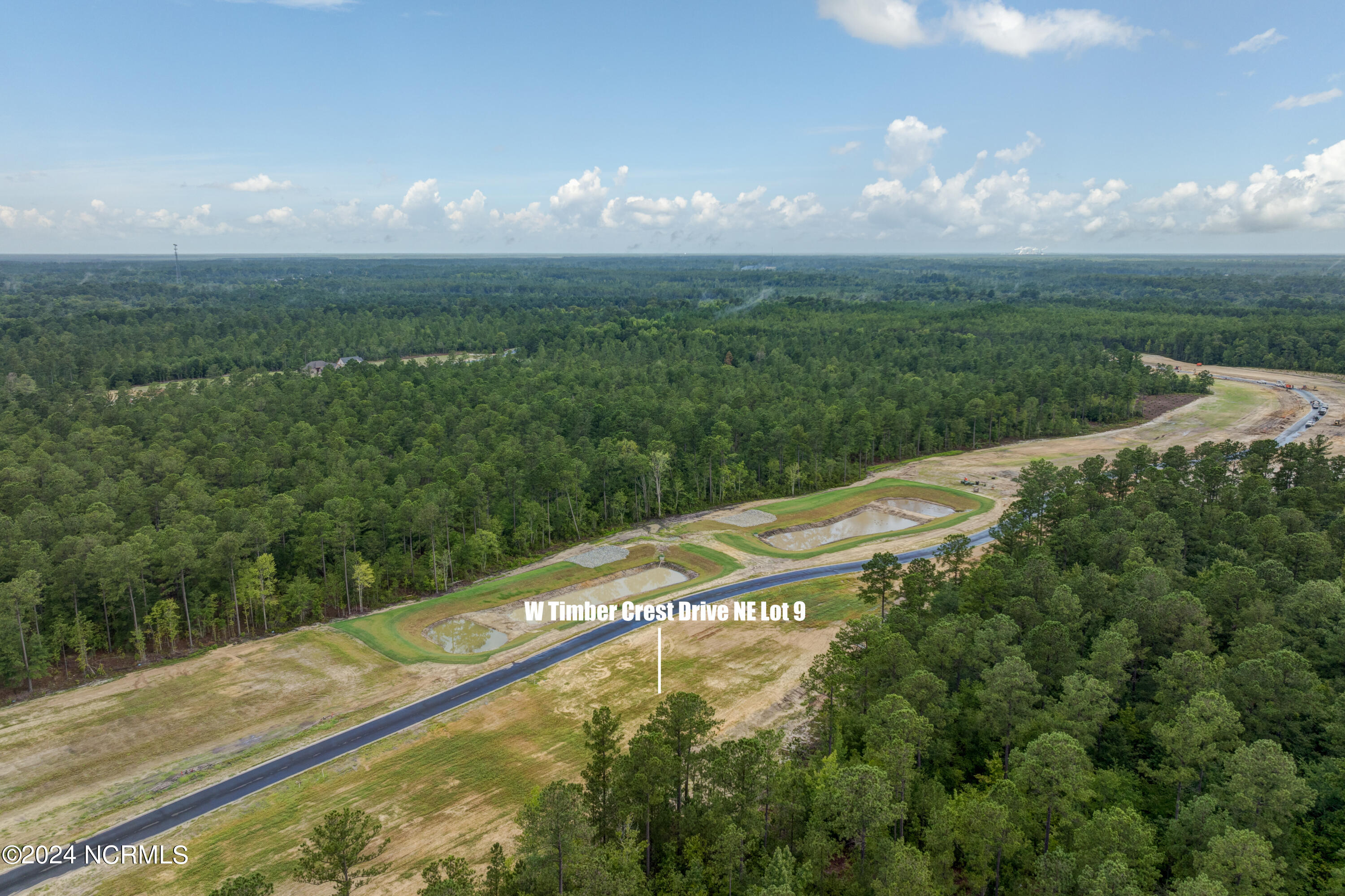 3009 W Timber Crest Drive Property Photo 9