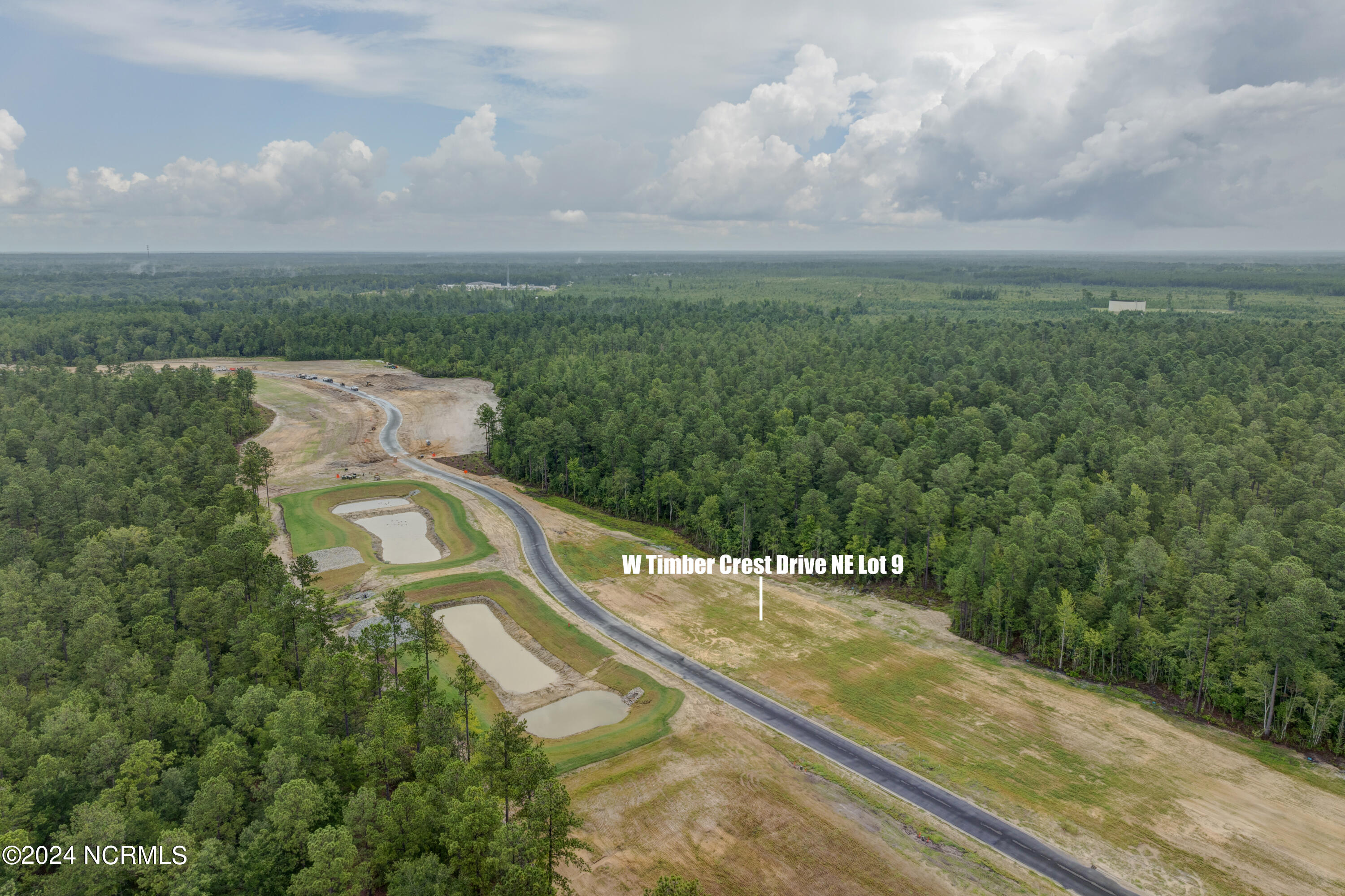 3009 W Timber Crest Drive Property Photo 11