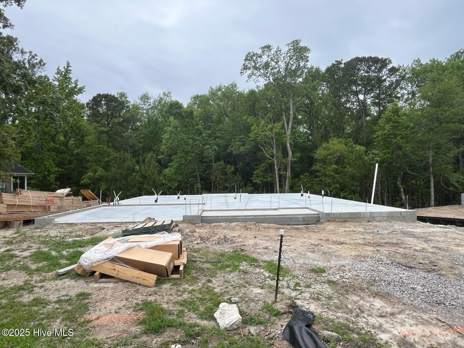 1219 St Simons Drive Property Photo 2